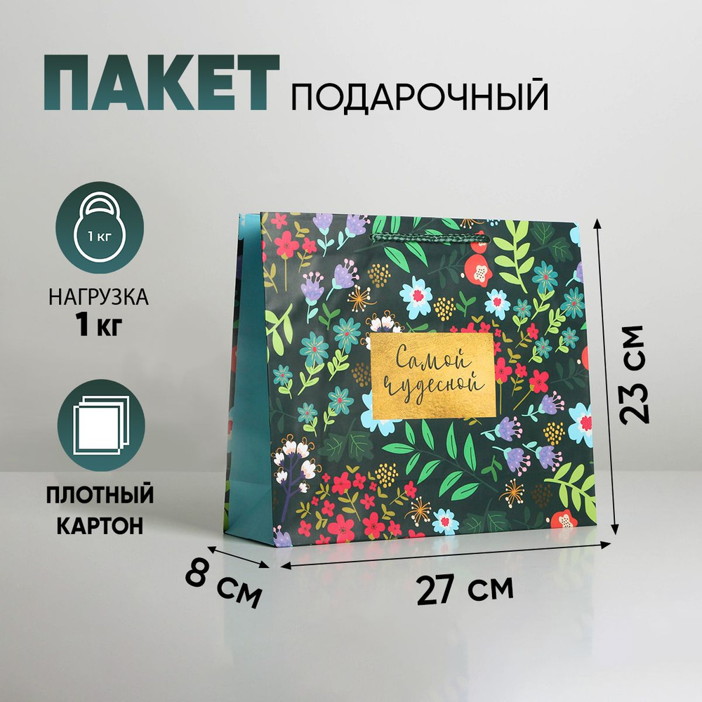 Подарочный пакет ламинированный Present for you, ML 27 х 23 х 8 см #1