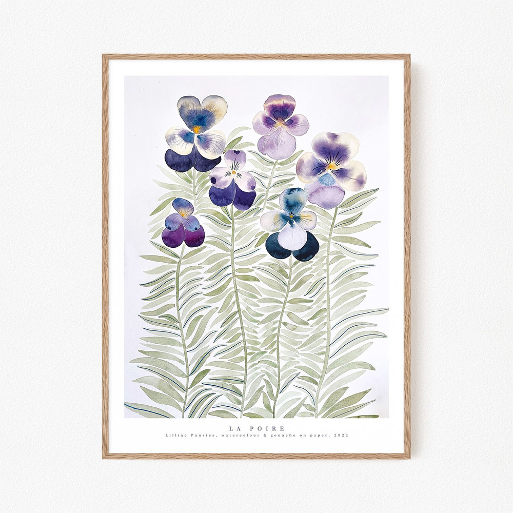 Постер "La Poire - Lilliac Pansies - Акварельные цветы", 21х30 см #1