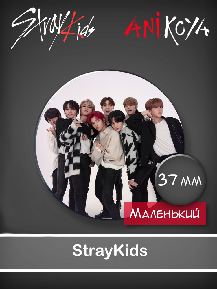 Значки к-pop Стрей Кидс / Stray Kids 37 мм AniKoya мерч #1