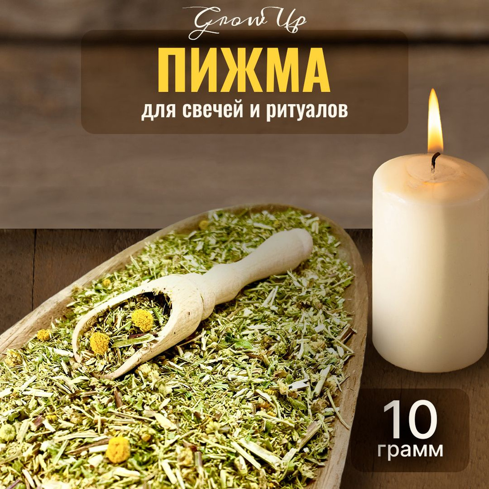 Пижма сушеная трава 10 гр - сухоцветы для свечей, творчества и ритуалов  #1
