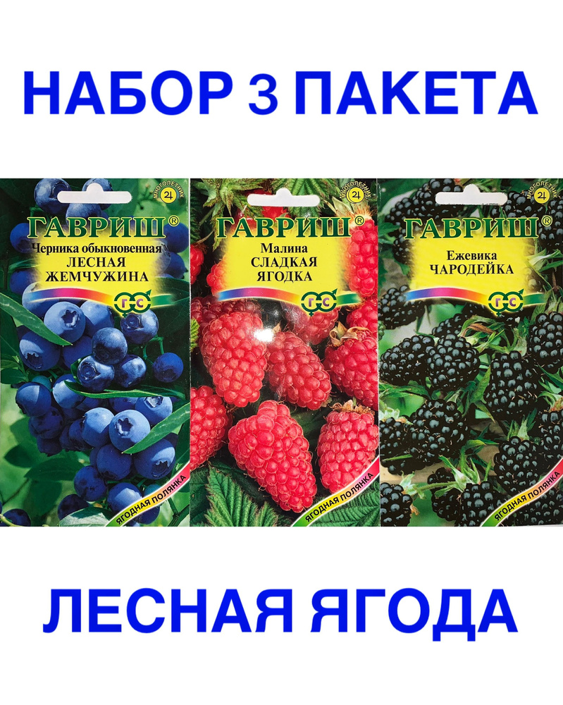 Набор ЛЕСНАЯ ЯГОДА (Черника, Ежевика, Малина), 3 пакета, ГАВРИШ,  многолетний кустарник, семена