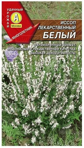 Иссоп лекарственный Белый, 1 пакетик 0,1 гр. семян, Аэлита  #1