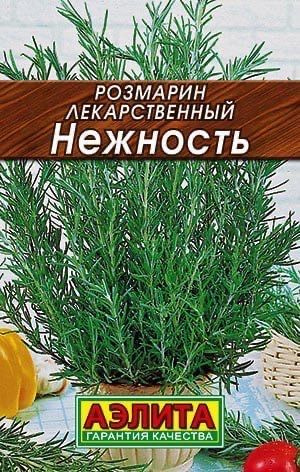 РОЗМАРИН НЕЖНОСТЬ. Семена. Вес 20 шт. Ценный пряно-ароматический многолетник. Незаменимая приправа в #1