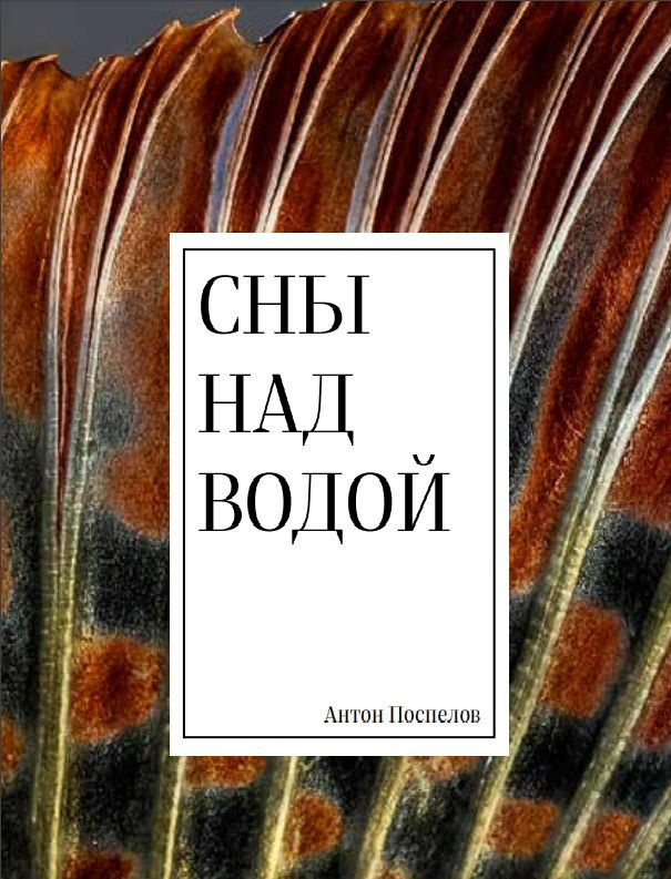 Книга "Сны над водой" автор Антон Поспелов #1