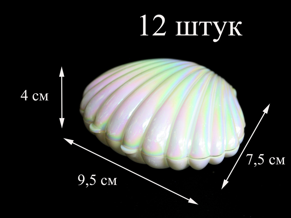 Ракушка шкатулка, набор из 12 штук #1