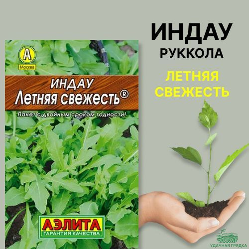 Индау (руккола) Летняя свежесть, семена Аэлита 0,3г #1