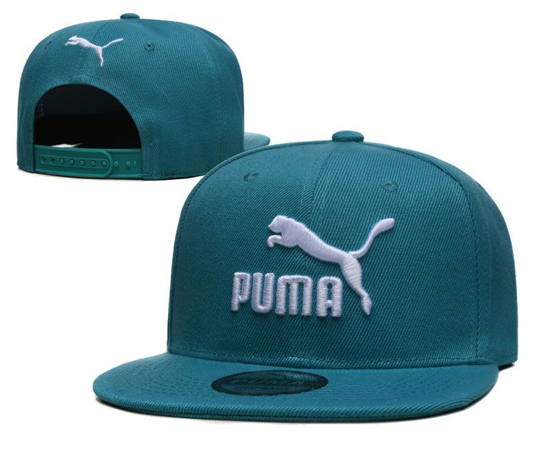 Бейсболка PUMA #1