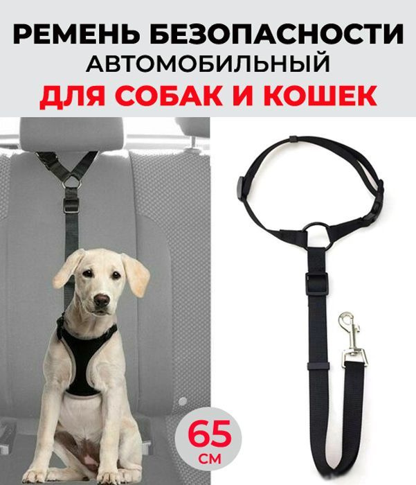 Ремень безопасности в машину для собак, кошек / поводок для животных в автомобиль / шлейка (65см)  #1