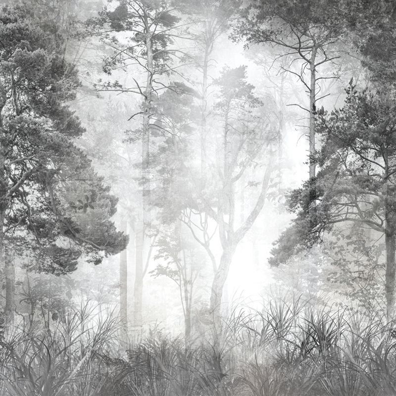 Фотообои флизелиновые на стену 3д GrandPik 10257 "Лес в тумане" см(ШхВ), 250х250 см  #1