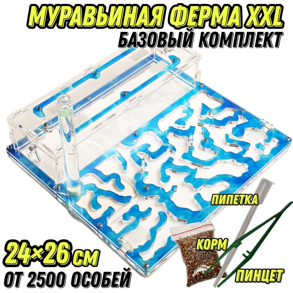 Большая муравьиная ферма "Вода" XXL Basic 26*24см Базовый комплект  #1