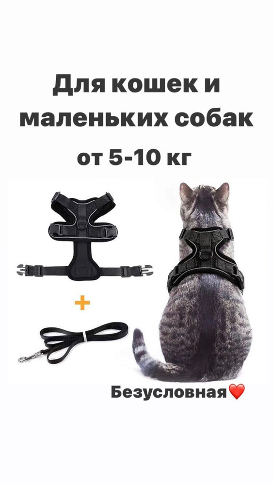 Шлейка для кошек и собак; поводок для котят и собак светоотражающий; жилет регулируемый для кота  #1