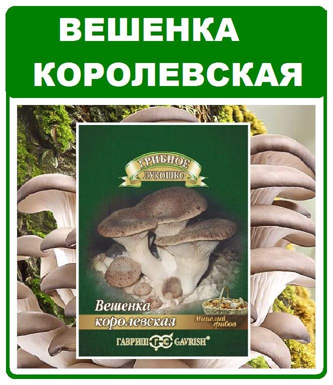 Грибы Вешенка королевская мицелий грибов на палочке 12шт. Гавриш  #1