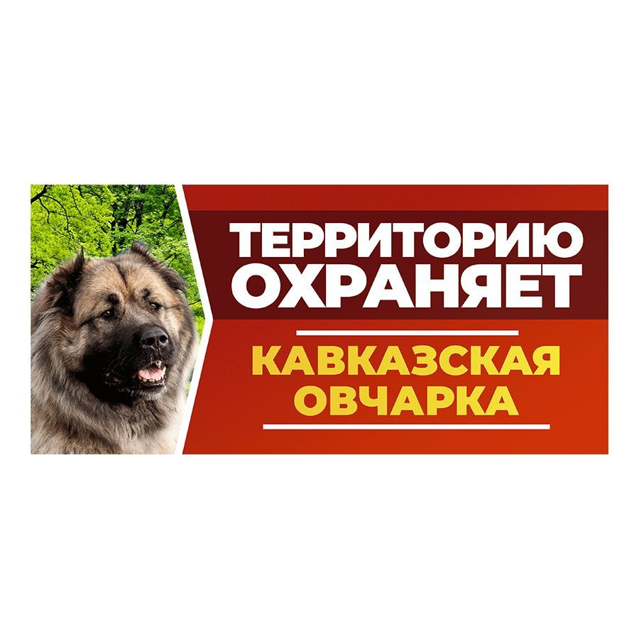 Табличка, DANGER DOG, Кавказская овчарка, на забор, 30см х 14см #1