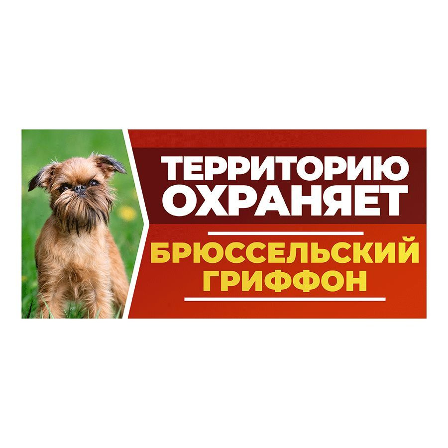 Табличка, DANGER DOG, Брюссельский гриффон, на забор, 30см х 14см  #1