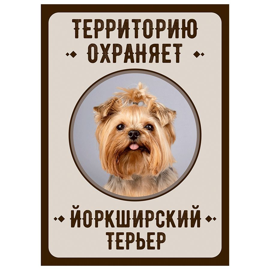Табличка, Злая собака, Территорию охраняет Йоркширский терьер, на металлической основе, 18см х 25 см, #1