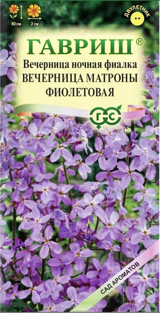 Вечерница обыкновенная (Хесперис) Вечерница Матроны фиолетовая, 1 пакет, семена 0,5 гр, Гавриш  #1