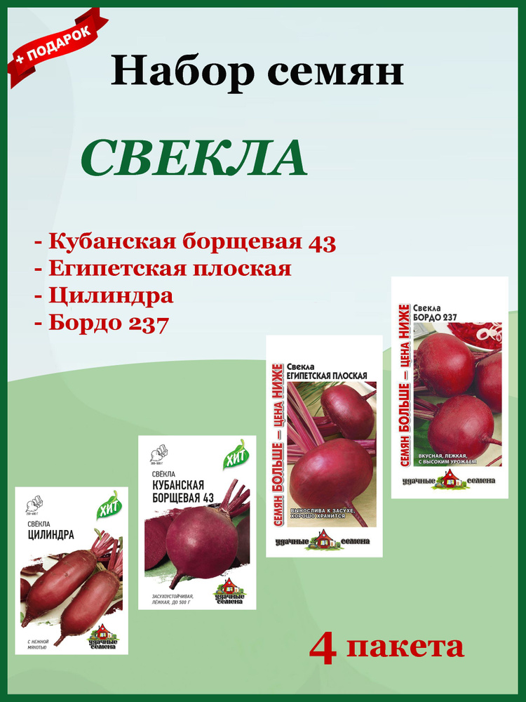 Семена Свекла Набор 4 шт. (Гавриш) Бордо 237, Цилиндра, Египетская плоская, Кубанская Борщевая.  #1