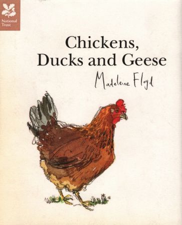 Madeleine Floyd - Chickens, Ducks and Geese #1