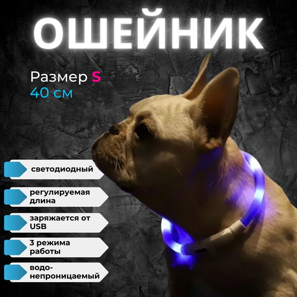 Светящийся повседневный ошейник для кошек и собак мелких и крупных пород светодиодный, LED 40 см, синий #1