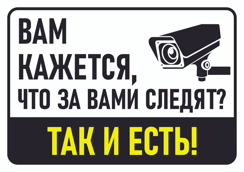 Прикольная табличка "Вам кажется, что за вами следят? Так и есть!" А3 (40х30см)  #1