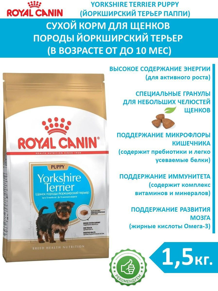 Сухой корм (1,5 кг) для щенков породы йоркширский терьер до 10 месяцев Royal Canin Yorkshire Terrier #1