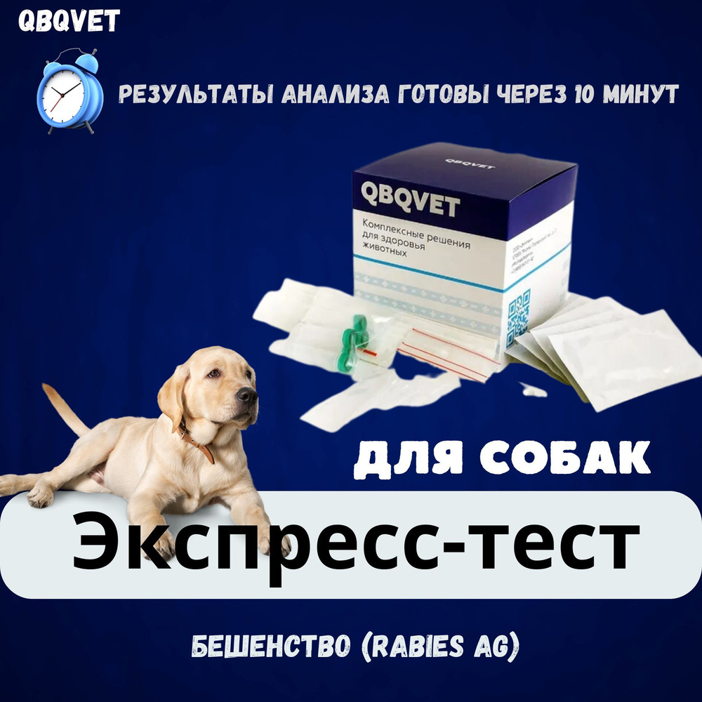 Экспресс-тест QBQVET Бешенство (Rabies Ag) - купить с доставкой по ...