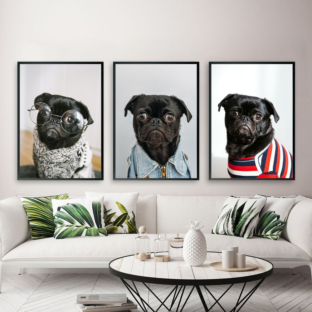 Постеры на стену "Собаки. Пти Брабансон", постеры интерьерные 30х40 см, 3 шт.  #1