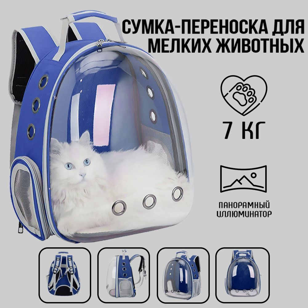 Рюкзак переноска для кошек и собак мелких пород - купить с доставкой по  выгодным ценам в интернет-магазине OZON (1275401643)
