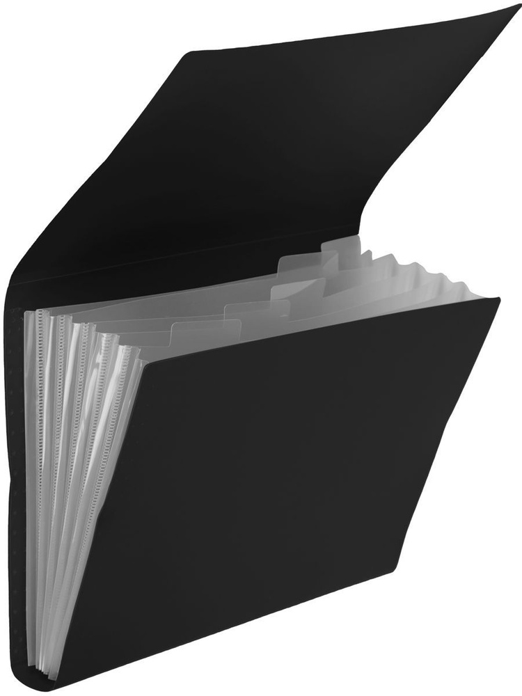 deVENTE Папка-органайзер A4 (21 × 29.7 см), 1 шт. #1