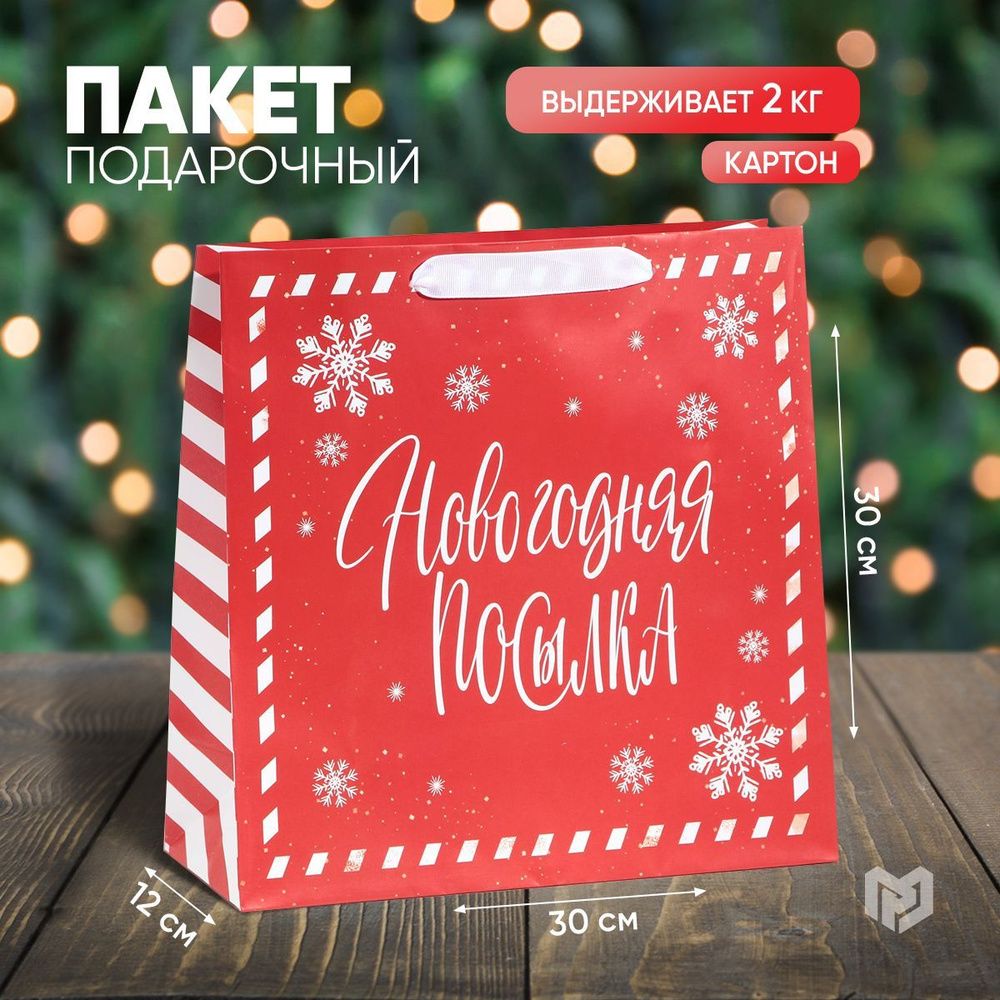 Пакет подарочный новогодний "Package", 30 х 30 х 12 см #1