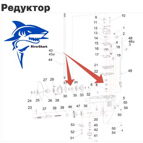 Комплект сальников редуктора Yamaha 5 и аналогичным моторам 4шт. 93102-10004-00, 93101-13M12-00  #1