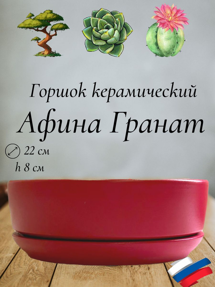 Керамический горшок "Афина Гранат" для бонсай, кактусов и суккулентов, диаметр 22 см, высота 8 см  #1