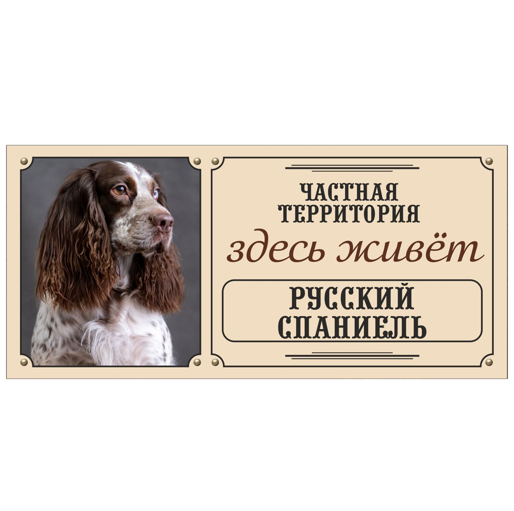 Табличка, Злая собака, Здесь живет Русский спаниель, на металлической основе, 30см х 14 см, на забор, #1