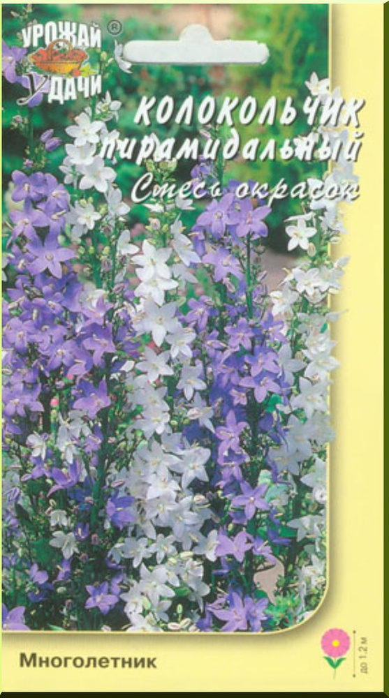Колокольчик ПИРАМИДАЛЬНЫЙ смесь окрасок (Семена УРОЖАЙ УДАЧИ, 0,05 г семян в упаковке)  #1
