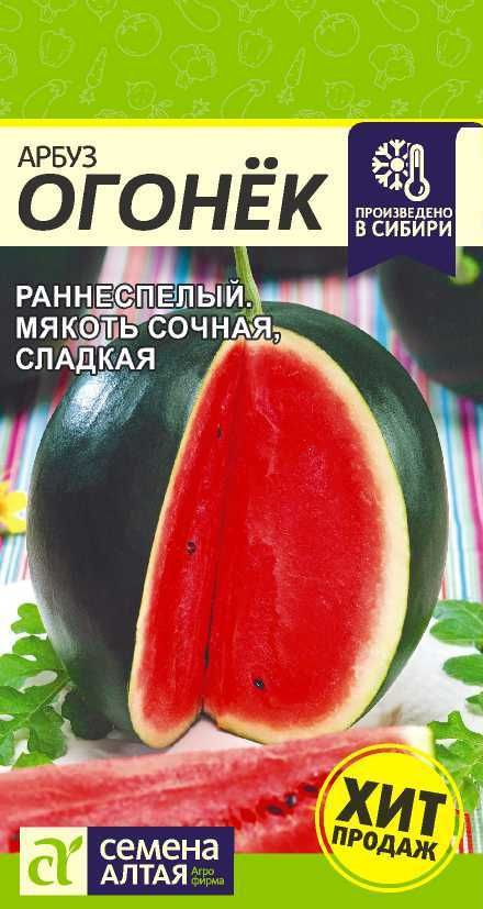 Арбуз "Огонек" семена Алтая для открытого грунта и теплиц, 1 гр  #1