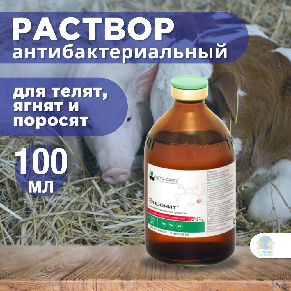 NITA-FARM Энронит, раствор инъекционный для телят, ягнят и поросят, 100 мл.  Энрофлоксацин. - купить с доставкой по выгодным ценам в интернет-магазине  OZON (1343282319)