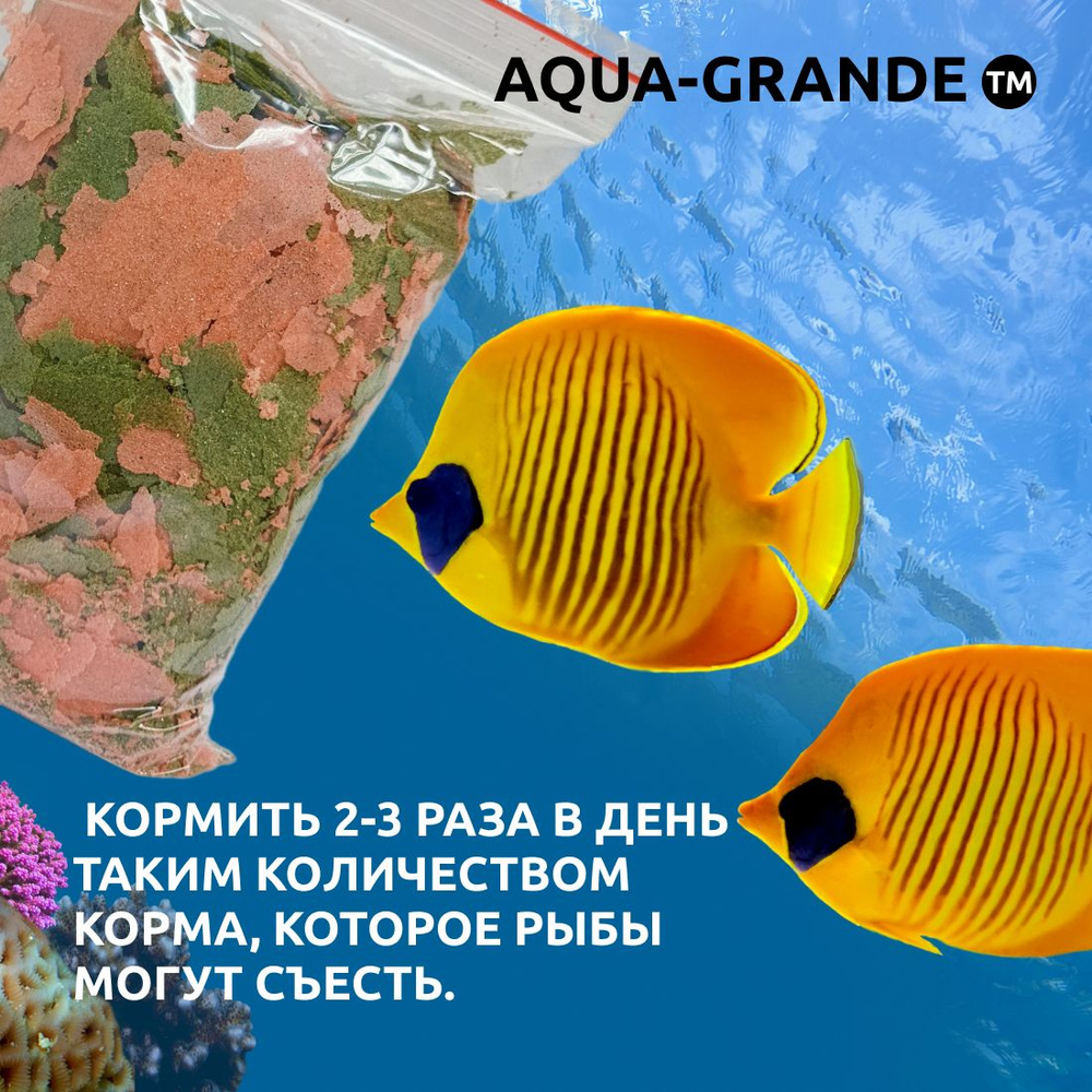 Корм сухой - Корм для рыбок аквариумных AQUA-GRANDE, хлопья для окраски, 18г., пакет  #1