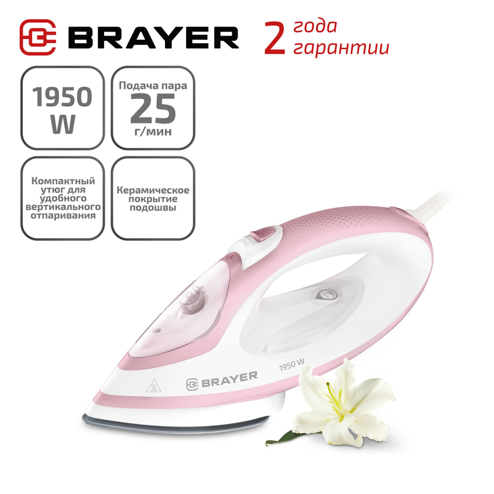 Утюг-отпариватель дорожный BRAYER BR4080 #1