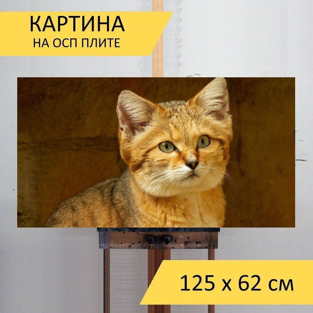 LotsPrints Картина "Пустыня, кошка, кошачий 50", 125  х 62 см #1