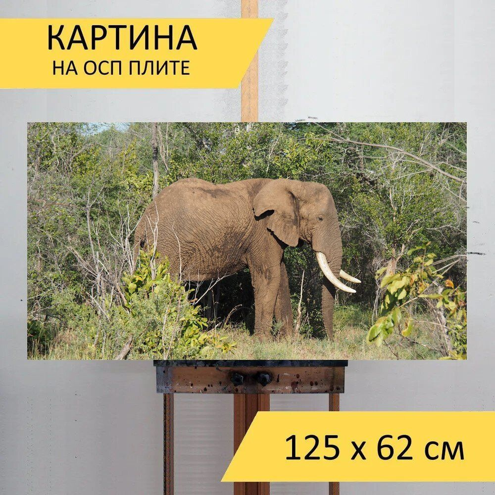 LotsPrints Картина "Слон, африке, сафари 21", 125  х 62 см #1