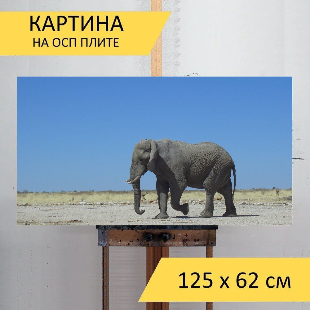 LotsPrints Картина "Слон, природа, намибия 68", 125  х 62 см #1