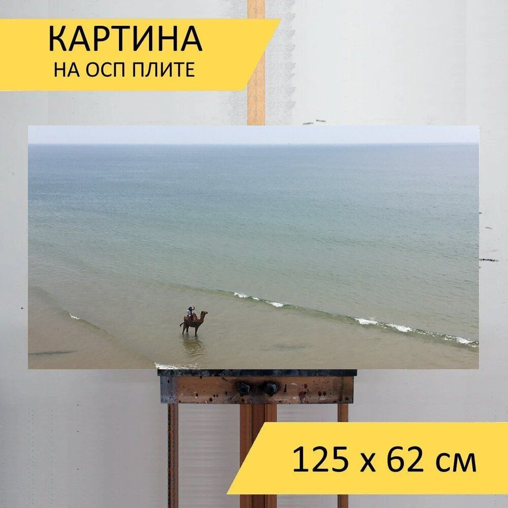 LotsPrints Картина "Верблюд, море, марокко 35", 125  х 62 см #1