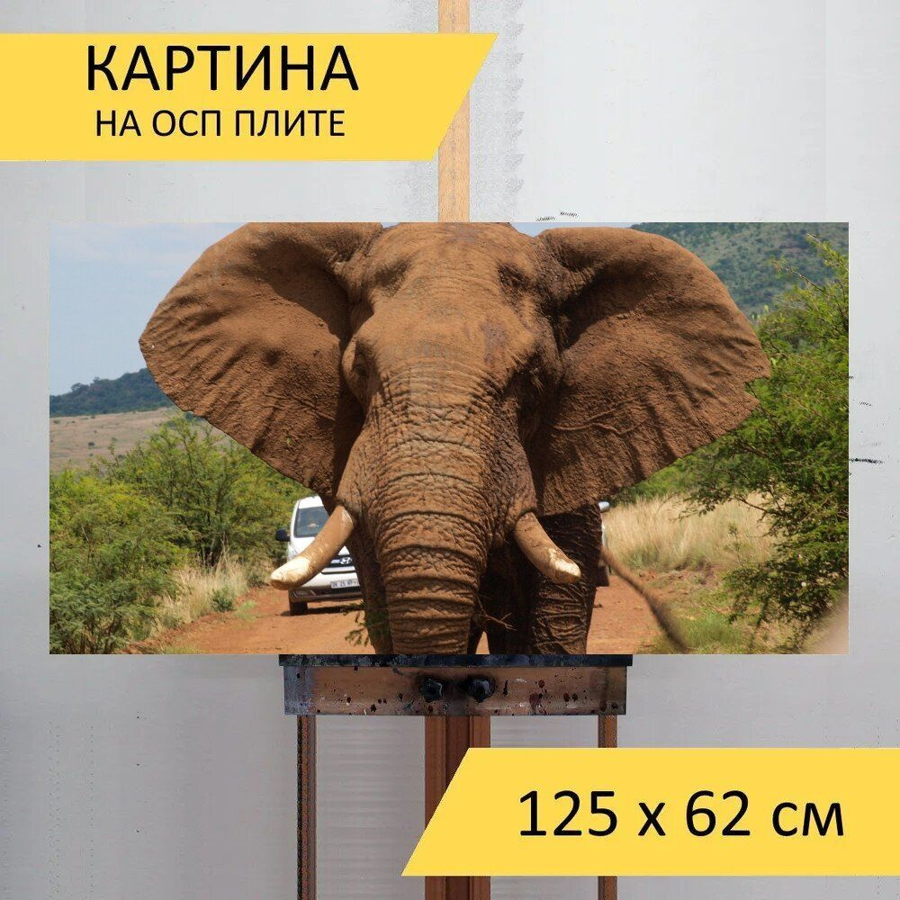 LotsPrints Картина "Слон, сафари, клыки 64", 125  х 62 см #1