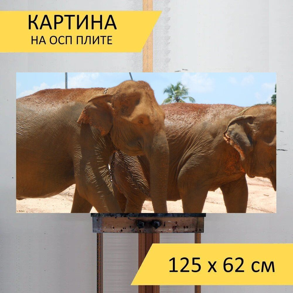 LotsPrints Картина "Слон, шриланкан, природа 98", 125  х 62 см #1
