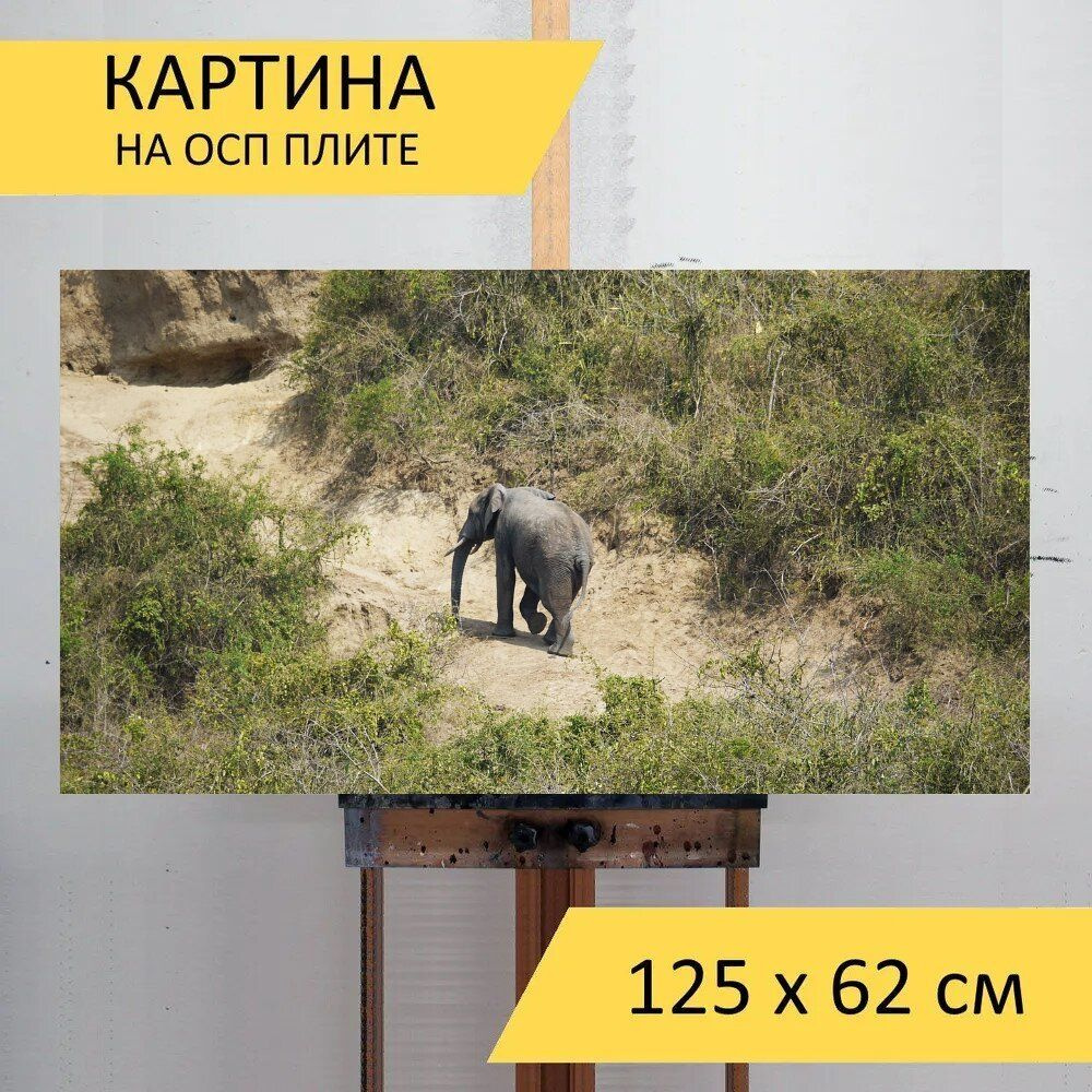 LotsPrints Картина "Слон, уганда, подниматься 86", 125  х 62 см #1