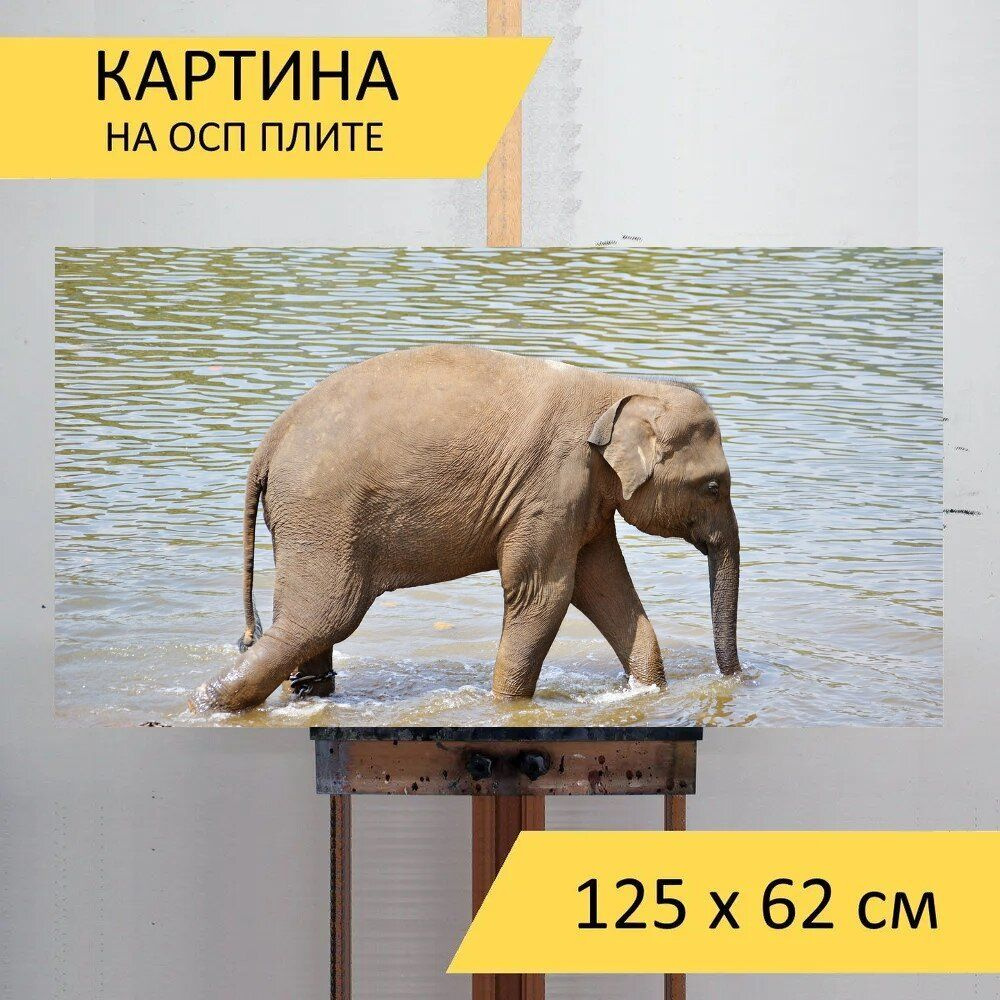 LotsPrints Картина "Слоненок, слоны, ванна 30", 125  х 62 см #1