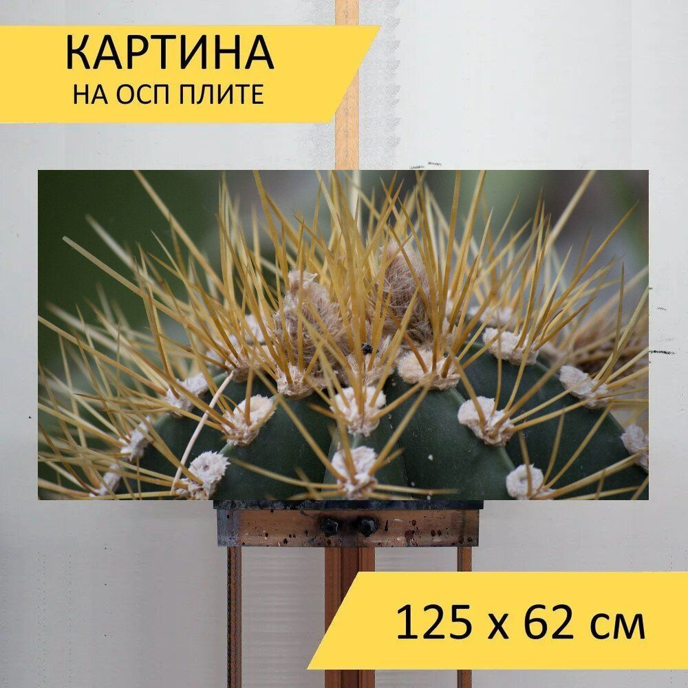 LotsPrints Картина "Кактус, спайк, грин 48", 125  х 62 см #1