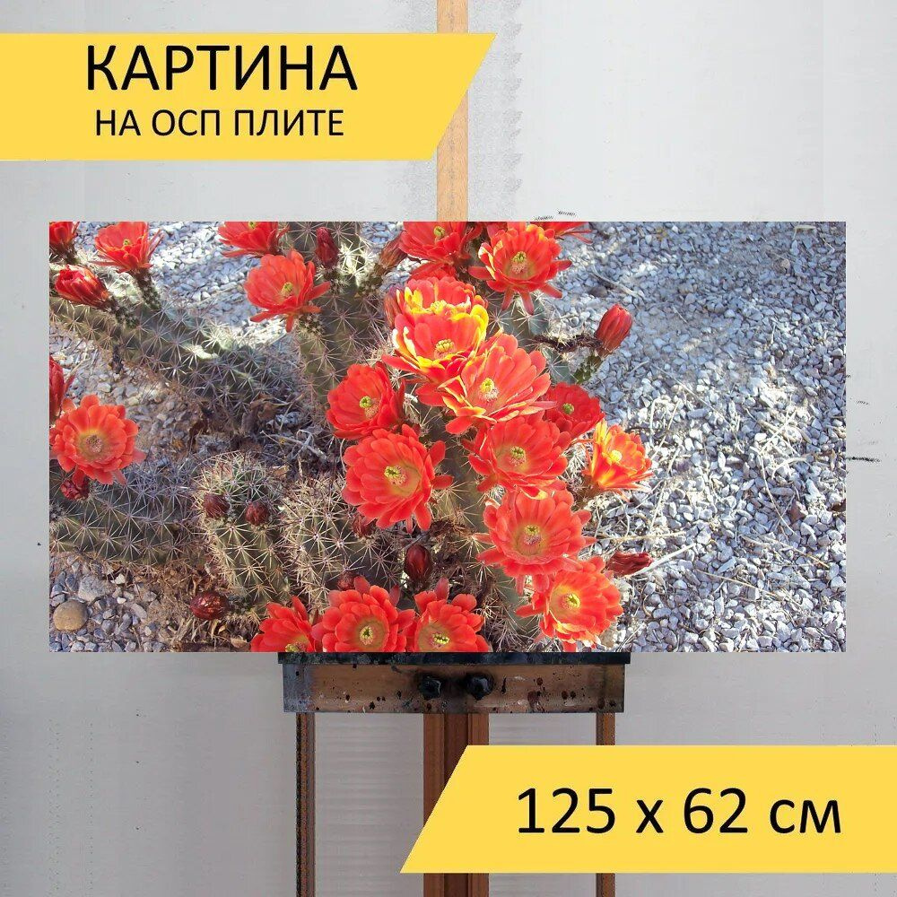 LotsPrints Картина "Кактус, цветы, блум 44", 125  х 62 см #1