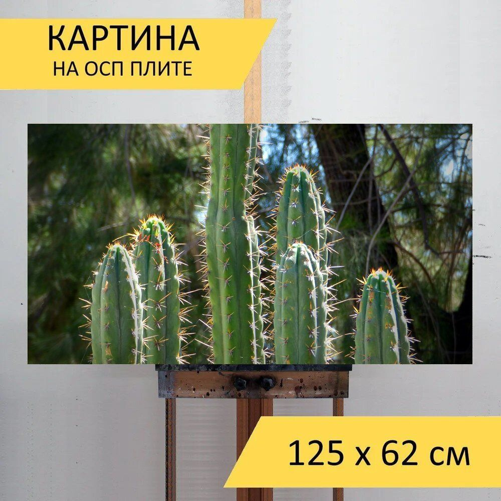 LotsPrints Картина "Кактус, шипы, завод 94", 125  х 62 см #1