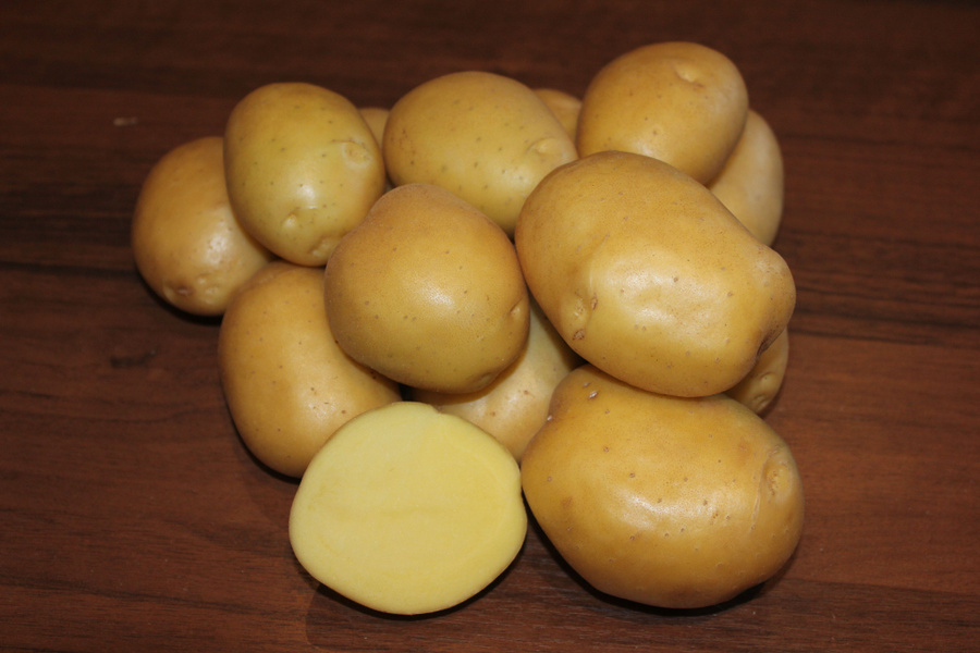 картофель семенной великан/ суперэлита. картофель семенной юбилей жукова. картофель сорт прайм. картофель вымпел. картофель вымпел.